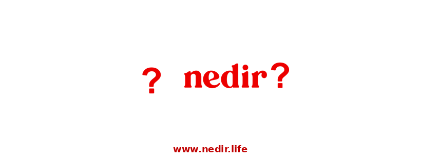 Mídia 2 de O que é Lilife - Não deve ser difícil alcançar informações confiáveis