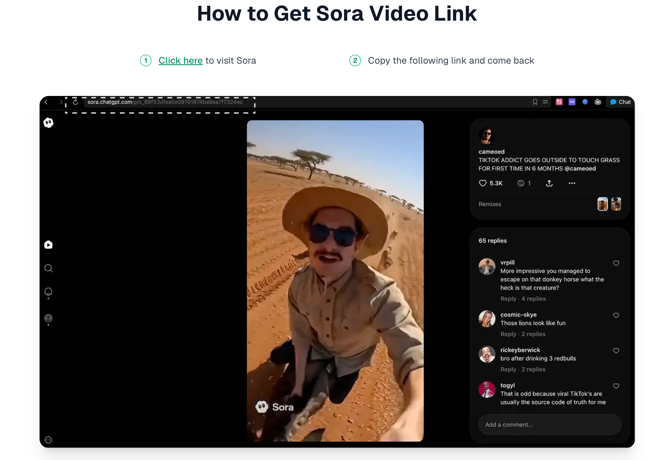 제거소라워터마크 - 품질 손실 없이 5초 안에 Sora 워터마크 제거 미디어 3