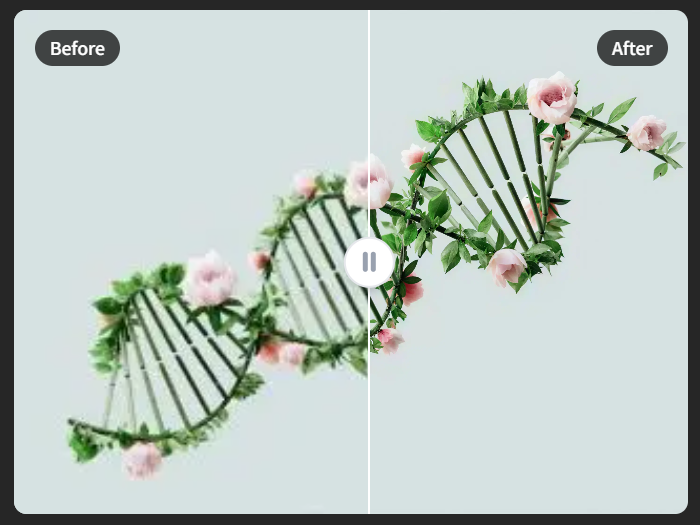 CHK Upscaler - 4KUpScaler – Erwecken Sie jedes Pixel mit KI zum Leben Medien 5