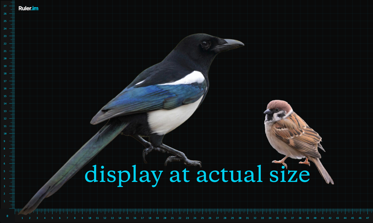 Ruler.im - Online Ruler: The #1 Accurate Ruler, measure objects & images media 3