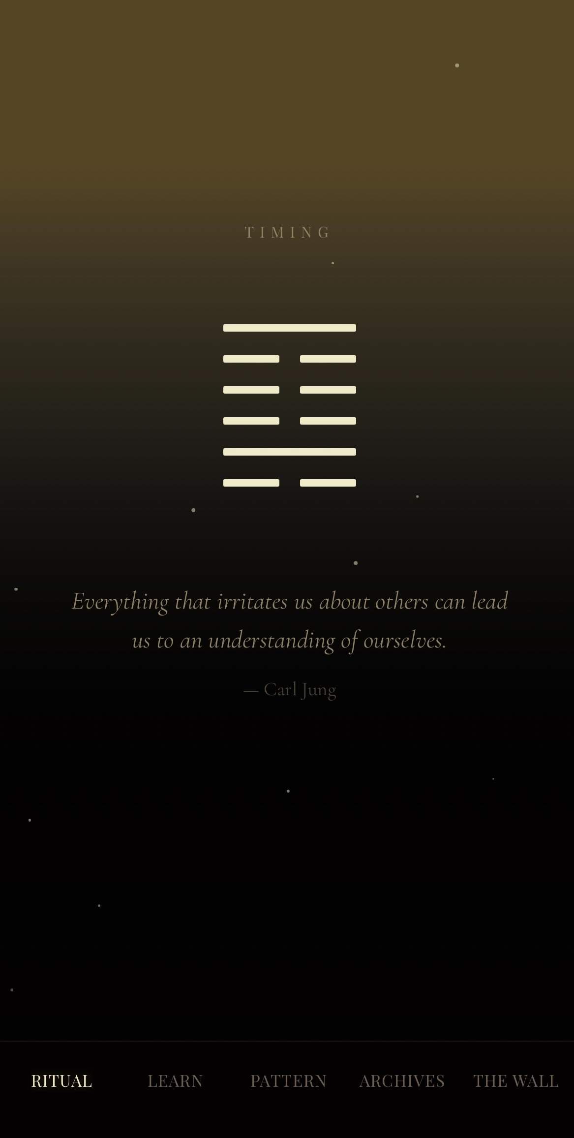 Shadow OS -  The decision app. One question. One clear answer. media 1