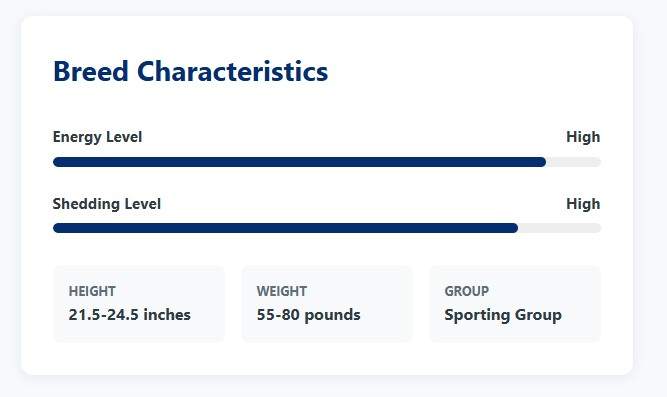 BreedMetrics.com - Authority on dog breed longevity media 1